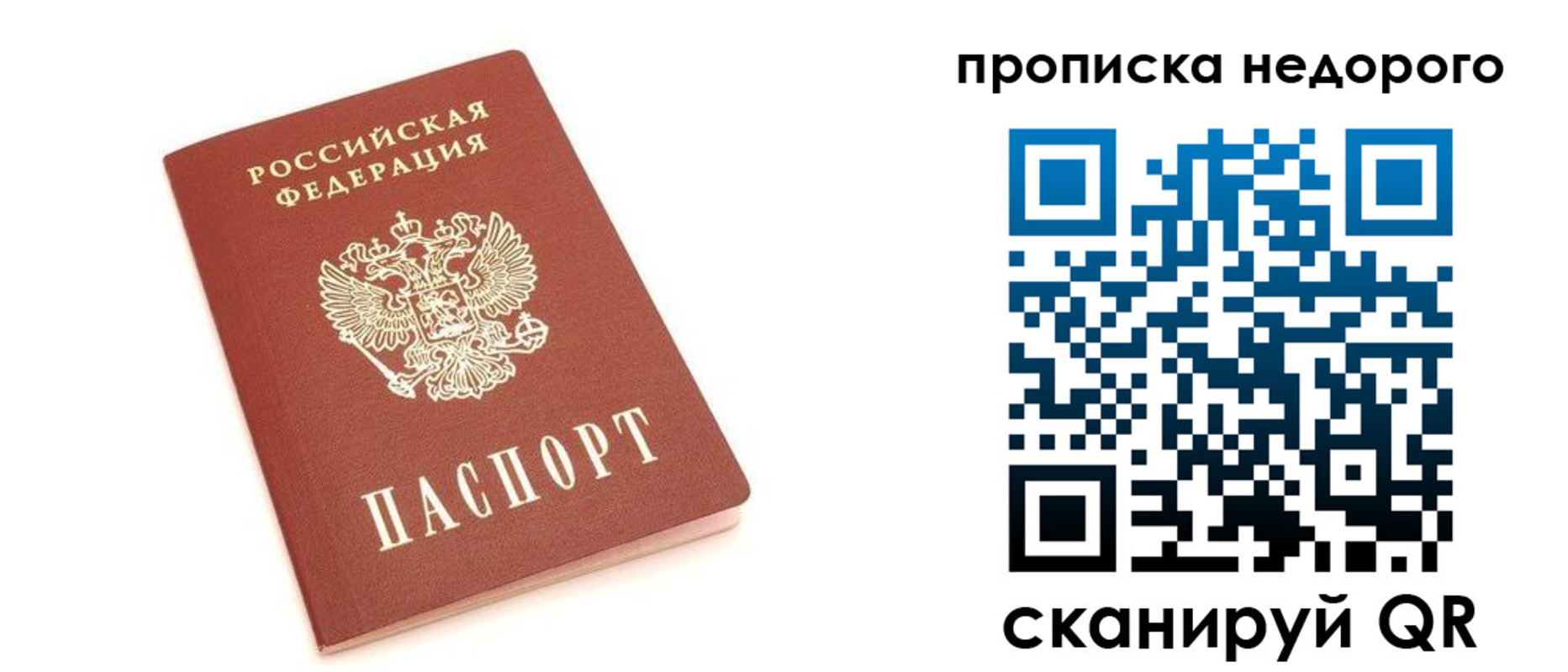 прописка поиск в Новороссийске