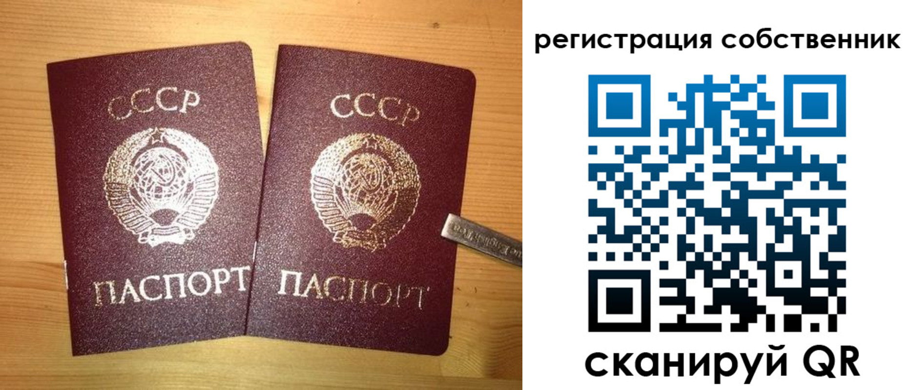 временная регистрация для школы в Новороссийске